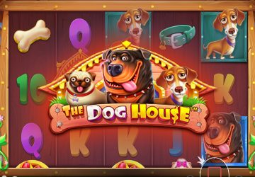 Игровой автомат The Dog House в АйВилд казино